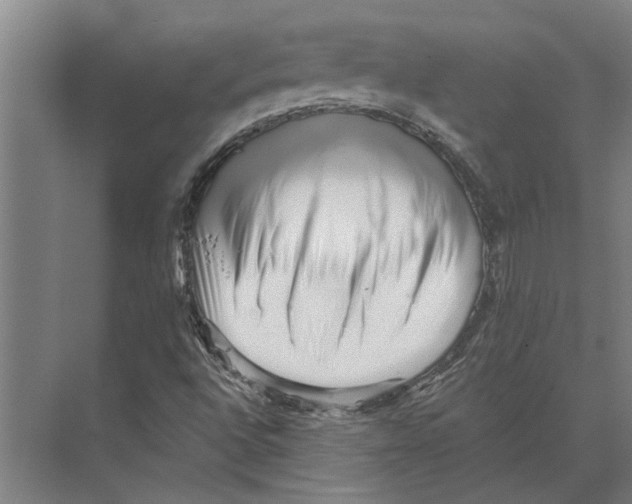 X0000074011496200609181820