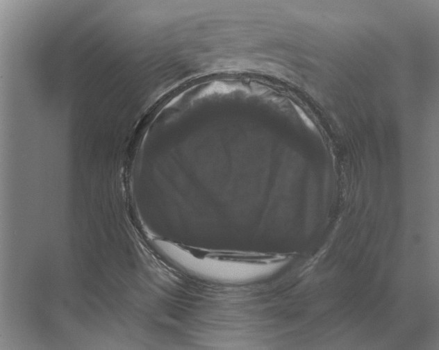 X0000074011497200609181820