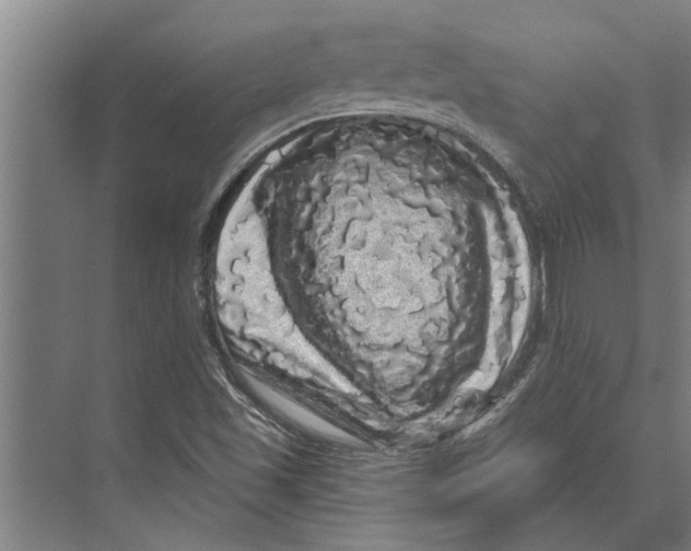 X0000074011501200609181820