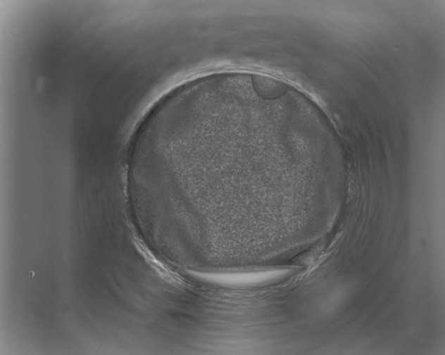 X0000074011503200609181820