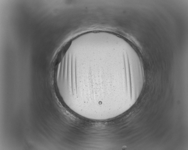 X0000074011504200609181821