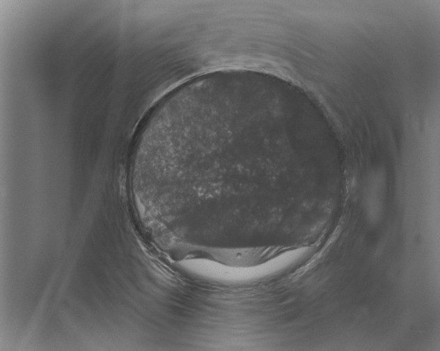 X0000074011505200609181821