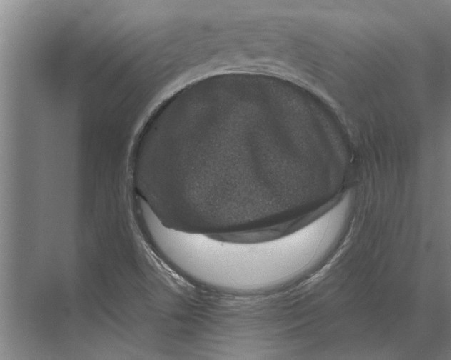 X0000074011506200609181821