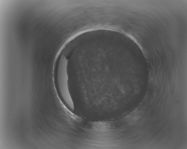 X0000074011508200609181821