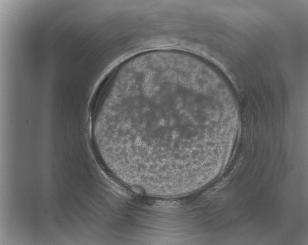 X0000074011509200609181821