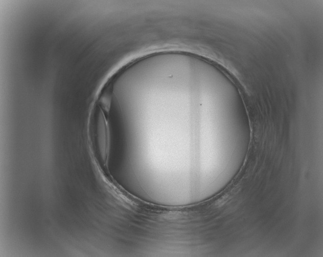 X0000074011510200609181821