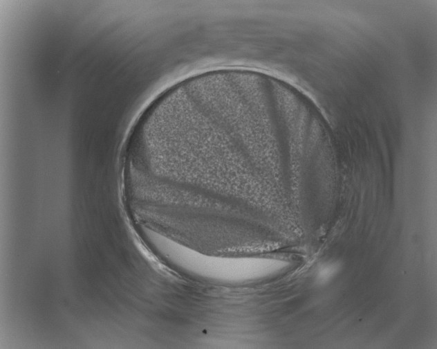 X0000074011511200609181821