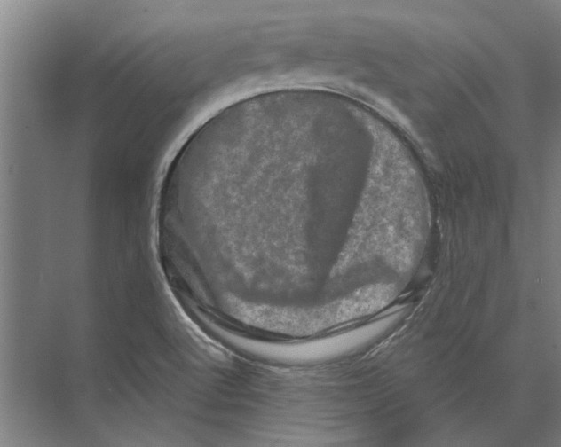 X0000074011512200609181821