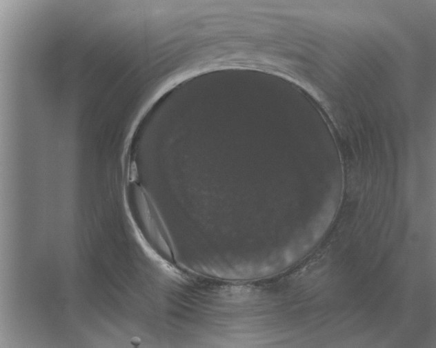 X0000074011515200609181821