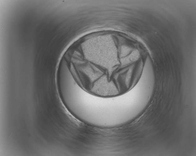 X0000074011516200609181821