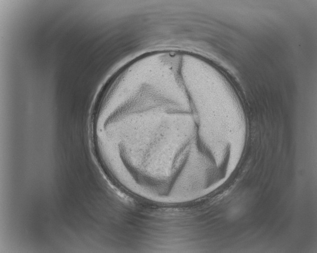 X0000074011517200609181821