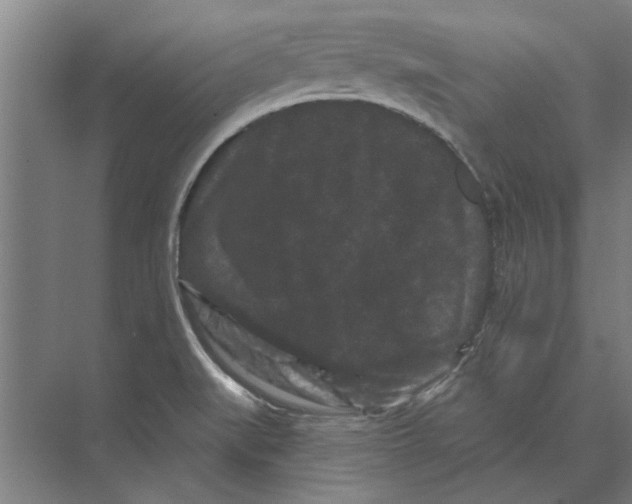 X0000074011519200609181821