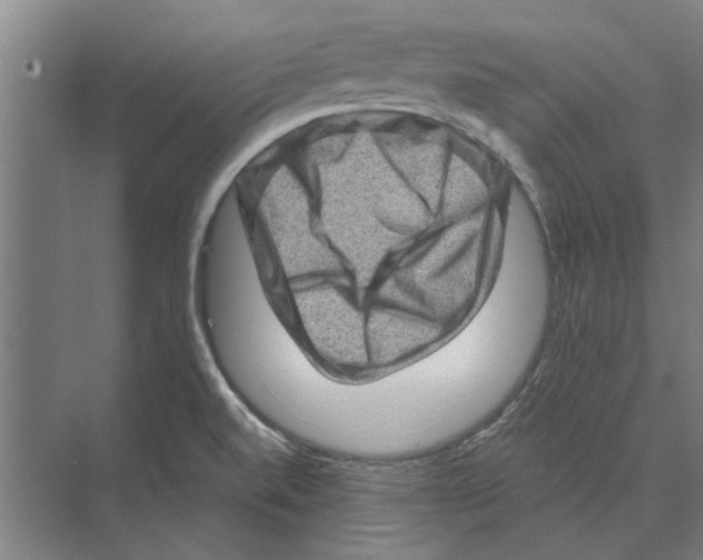 X0000074011520200609181821