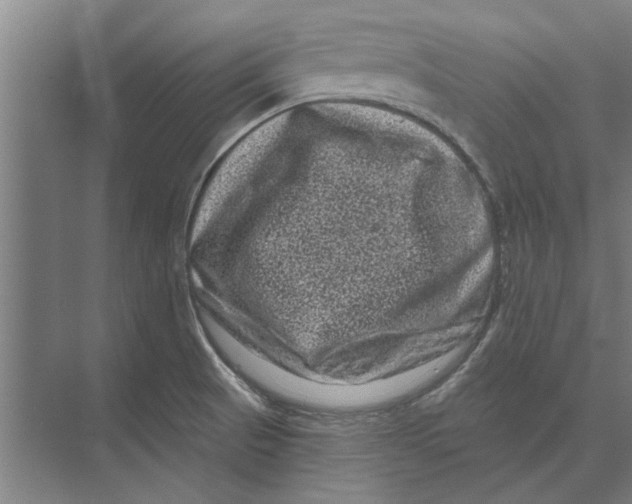 X0000074011521200609181821