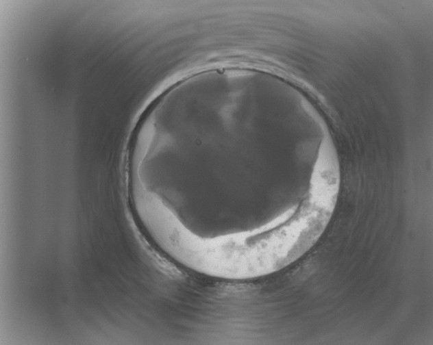 X0000074011522200609181821