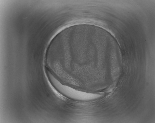 X0000074011523200609181821