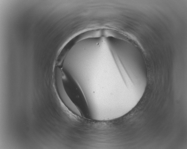 X0000074011524200609181821