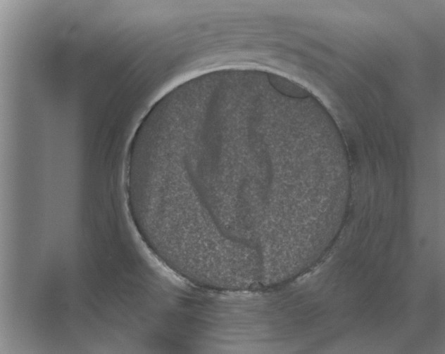 X0000074011526200609181821