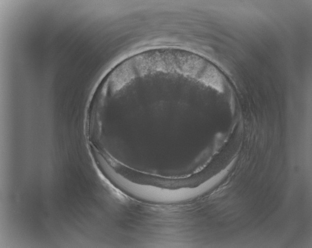 X0000074011527200609181821