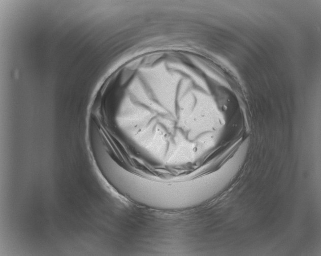 X0000074011528200609181821