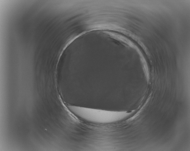 X0000074011529200609181821