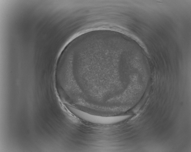 X0000074011530200609181821