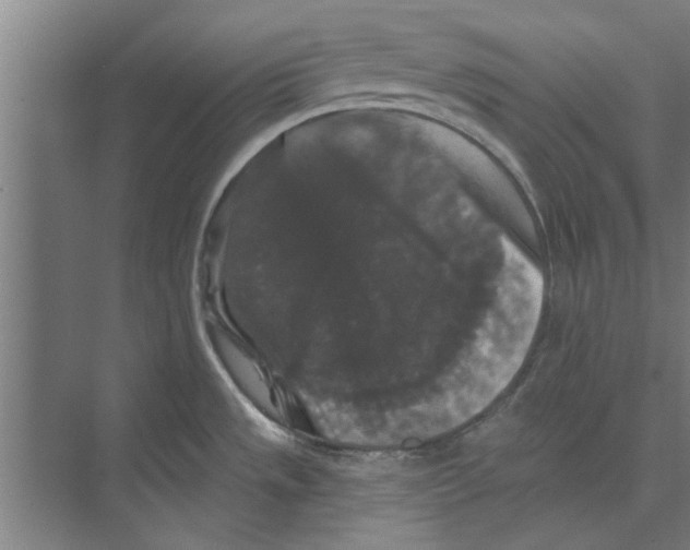 X0000074011533200609181821