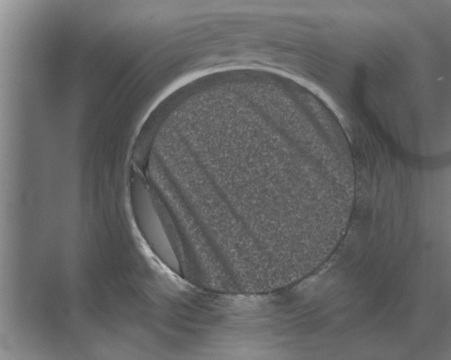 X0000074011534200609181821