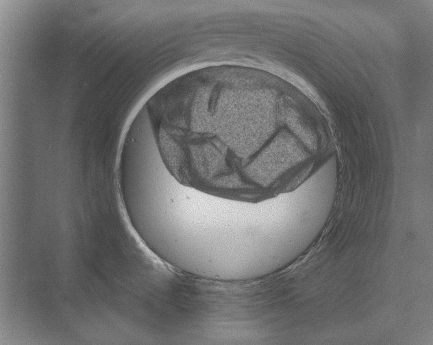 X0000074011536200609181821