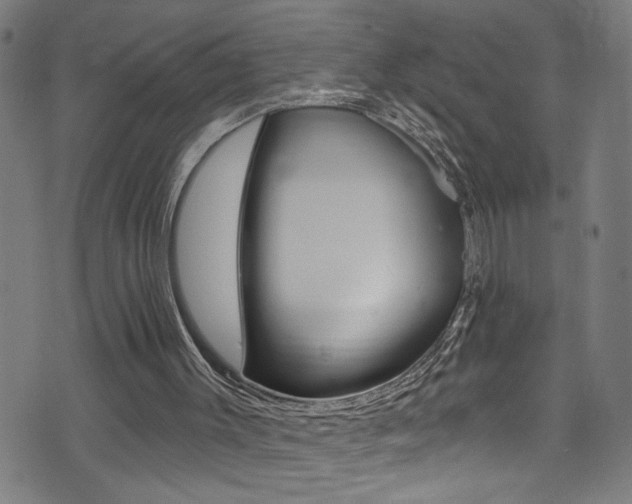 X0000074020003200608211120