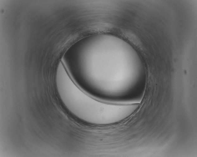 X0000074020021200608211120