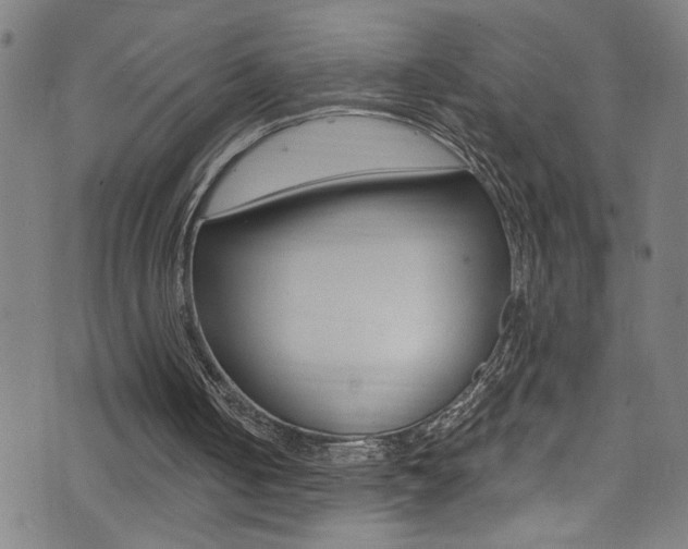 X0000074020050200608211119