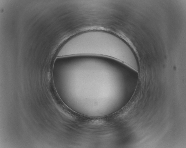 X0000074020063200608211119