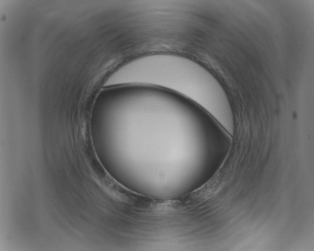 X0000074020072200608211119