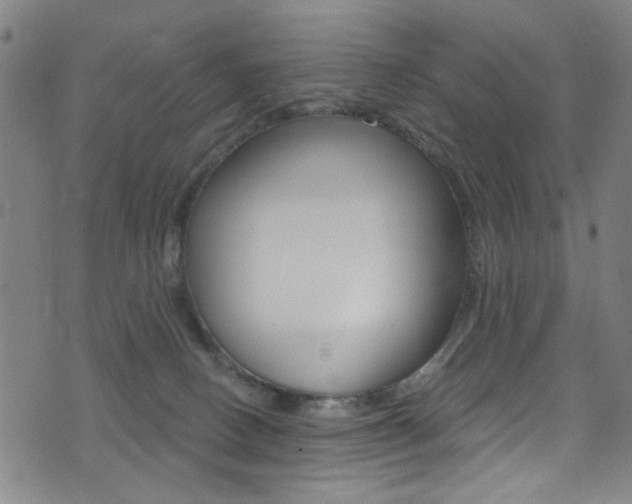 X0000074020082200608211119