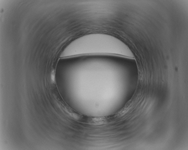 X0000074020095200608211119