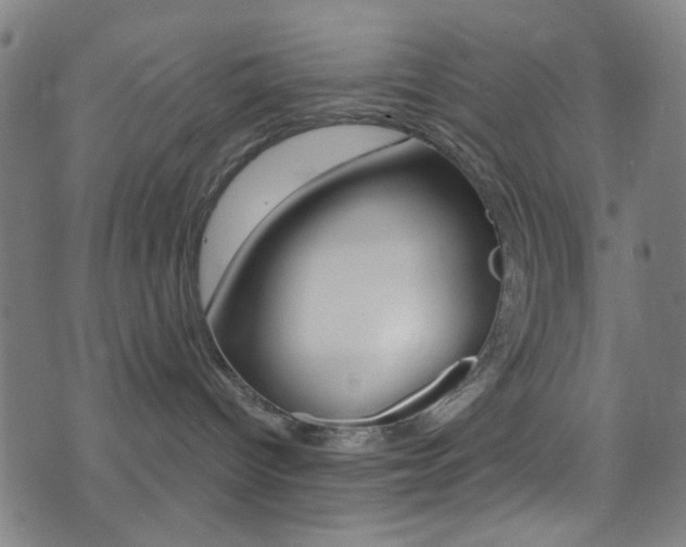 X0000074020096200608211119