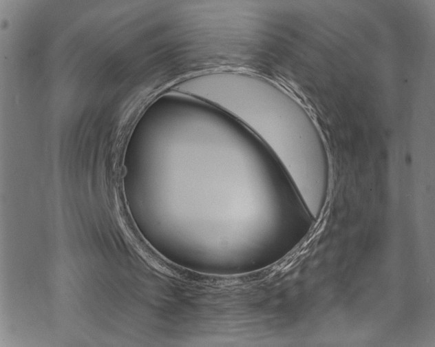 X0000074020097200608211119