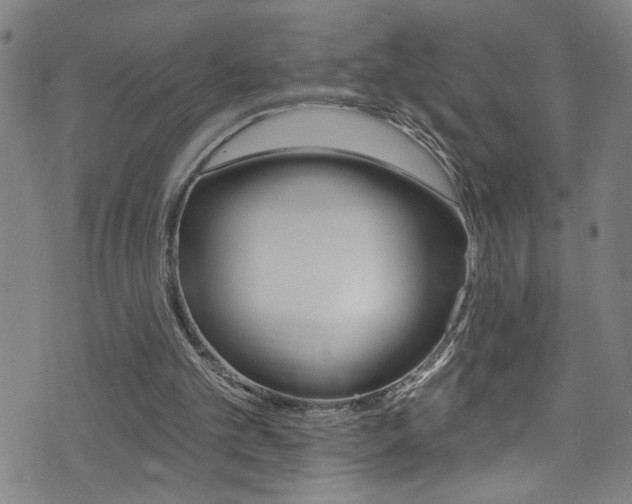 X0000074020101200608211119