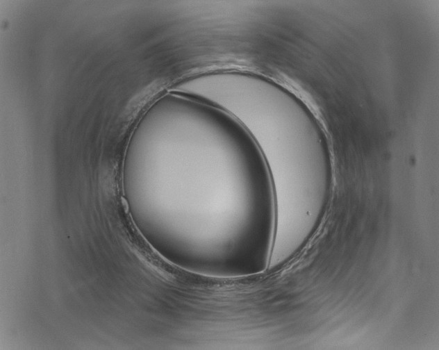 X0000074020105200608211119