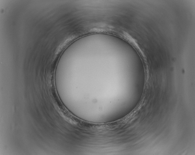 X0000074020106200608211119