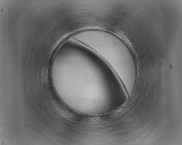 X0000074020108200608211119