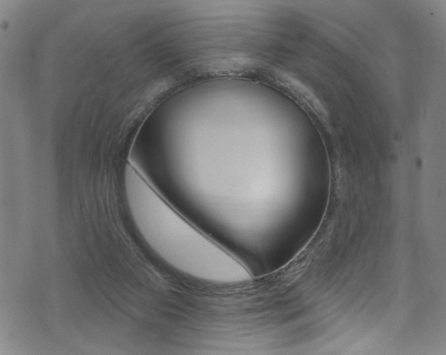 X0000074020113200608211118