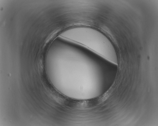 X0000074020116200608211118