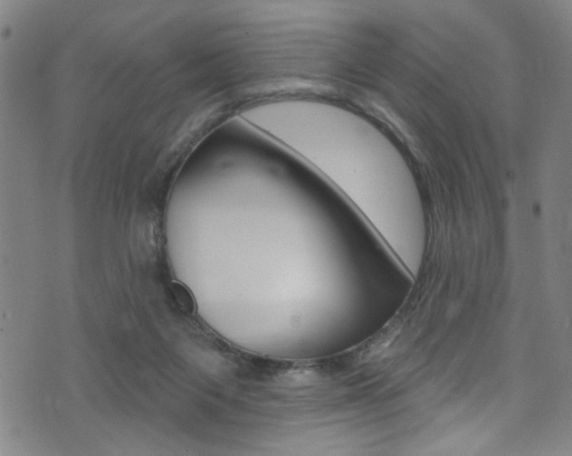 X0000074020119200608211118
