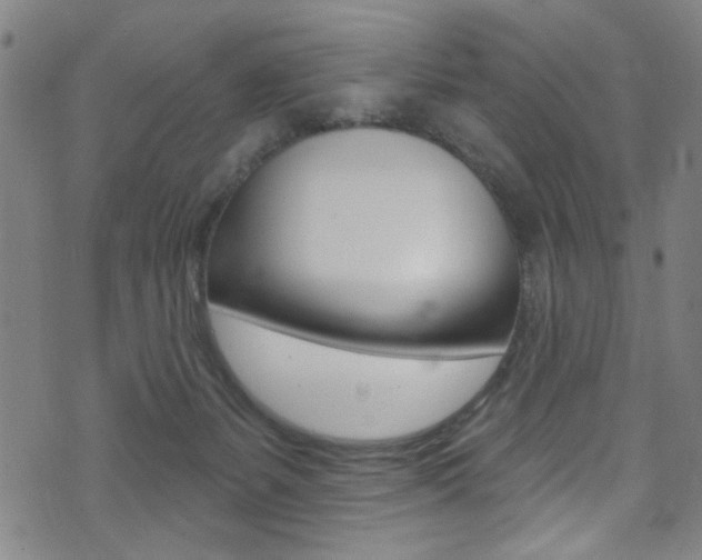 X0000074020127200608211118