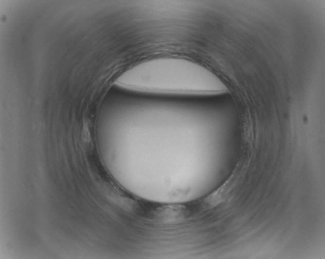 X0000074020128200608211118