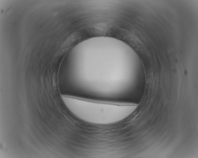 X0000074020131200608211118
