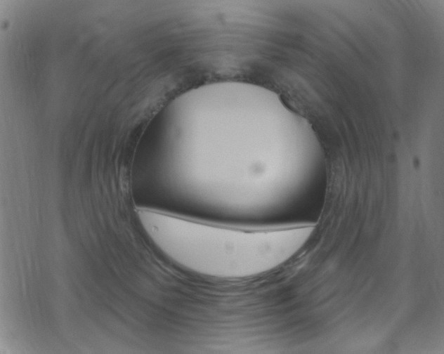 X0000074020135200608211118