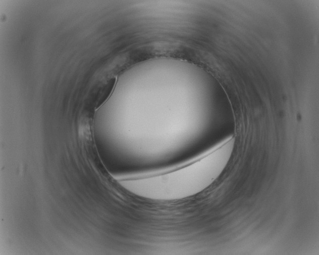 X0000074020137200608211118